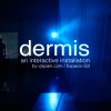 dermis